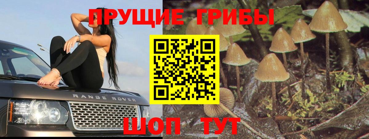 Галлюциногенные грибы MAGIC MUSHROOMS Трёхгорный