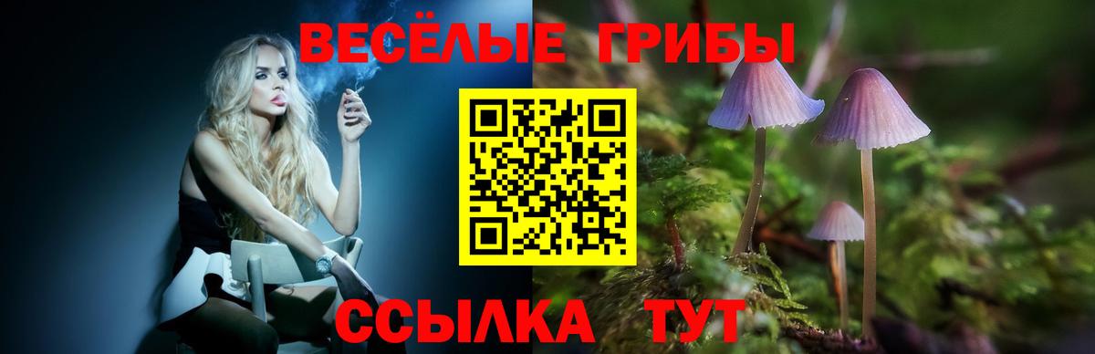 Галлюциногенные грибы Psilocybine cubensis  Вход с VPN  Трёхгорный 